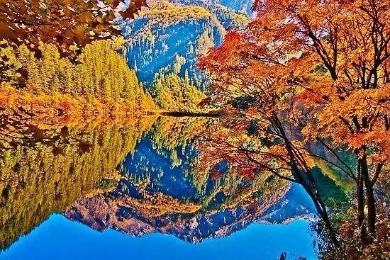 美呆了！祖國的秋色盡收眼底