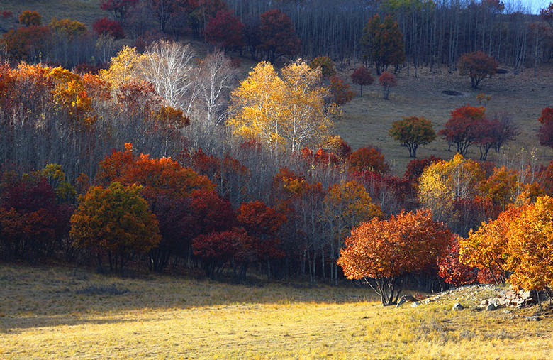 美呆了！祖國的秋色盡收眼底