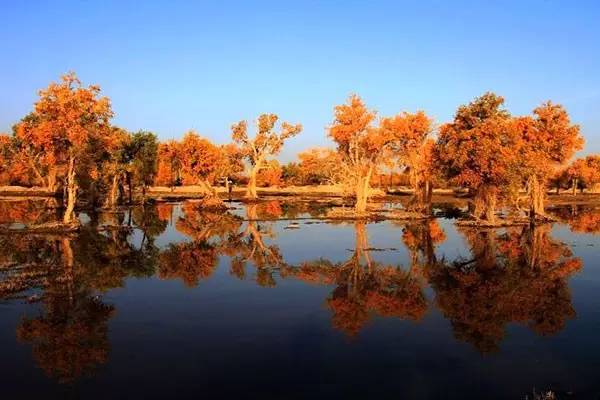 美呆了！祖國的秋色盡收眼底