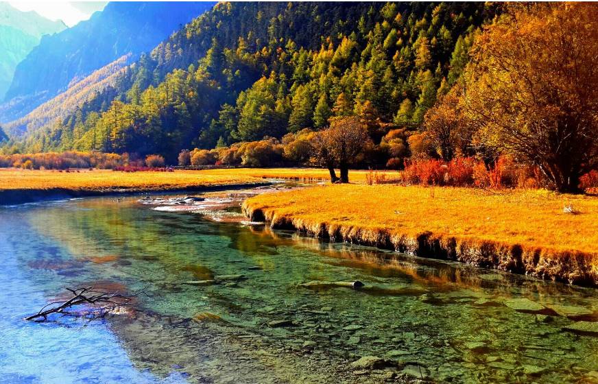 美呆了！祖國的秋色盡收眼底