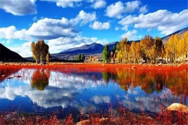 美呆了！祖國的秋色盡收眼底