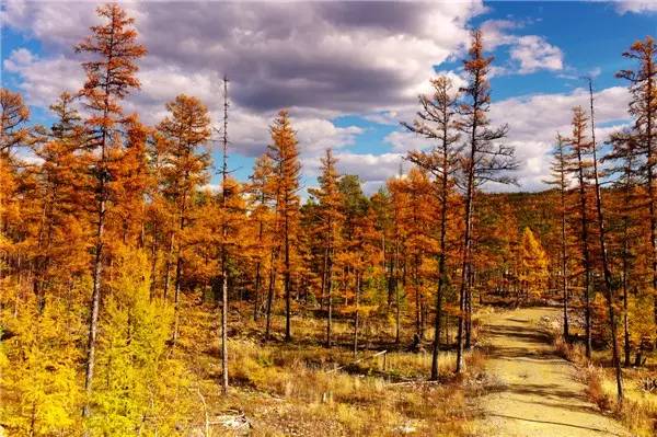 美呆了！祖國的秋色盡收眼底