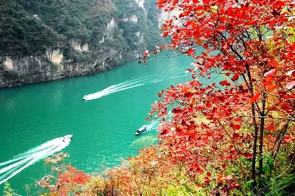 美呆了！祖國的秋色盡收眼底