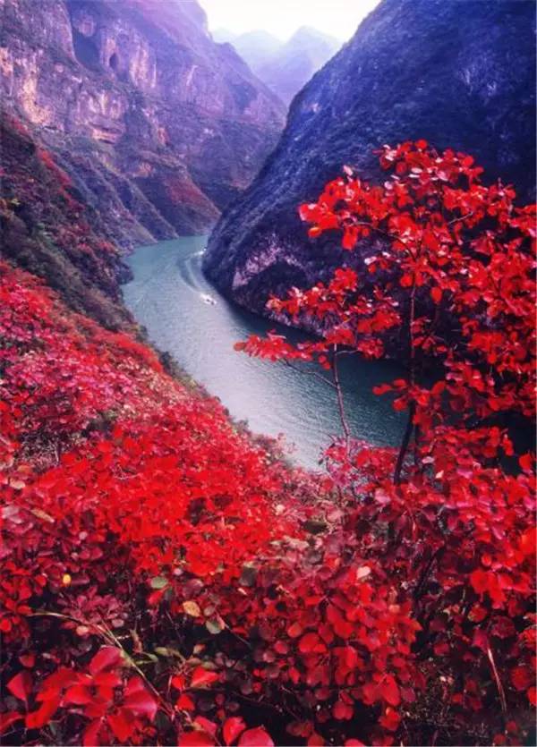 美呆了！祖國的秋色盡收眼底