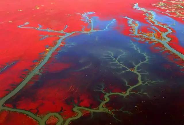 美呆了！祖國的秋色盡收眼底