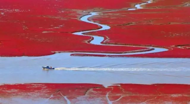 美呆了！祖國的秋色盡收眼底