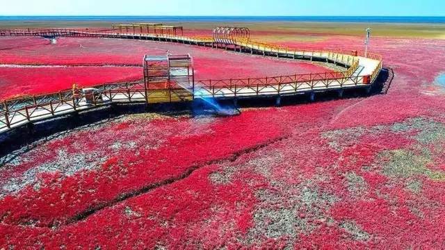 美呆了！祖國的秋色盡收眼底