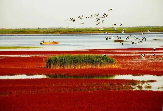 美呆了！祖國的秋色盡收眼底