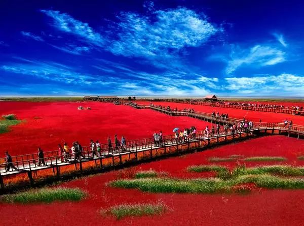 美呆了！祖國的秋色盡收眼底