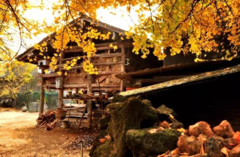 美呆了！祖國的秋色盡收眼底