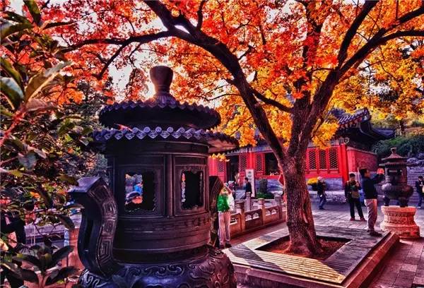 美呆了！祖國的秋色盡收眼底