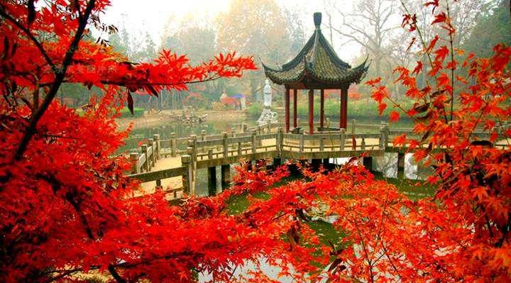 美呆了！祖國的秋色盡收眼底