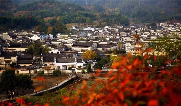 美呆了！祖國(guó)的秋色盡收眼底