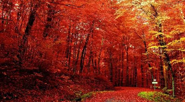 十處優(yōu)美的山水風(fēng)景，錦繡山河如詩(shī)如畫(huà)！