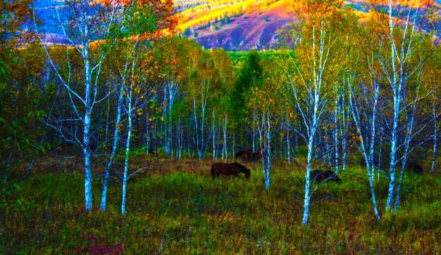 十處優(yōu)美的山水風(fēng)景，錦繡山河如詩(shī)如畫(huà)！