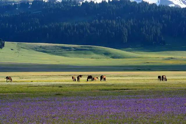 十處優(yōu)美的山水風景，錦繡山河如詩如畫！