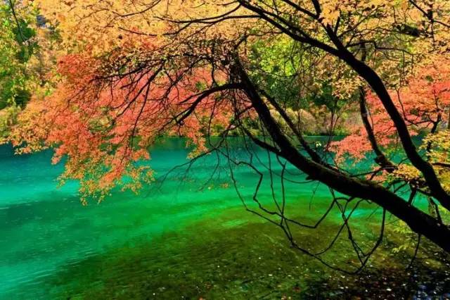 十處優(yōu)美的山水風(fēng)景，錦繡山河如詩如畫！