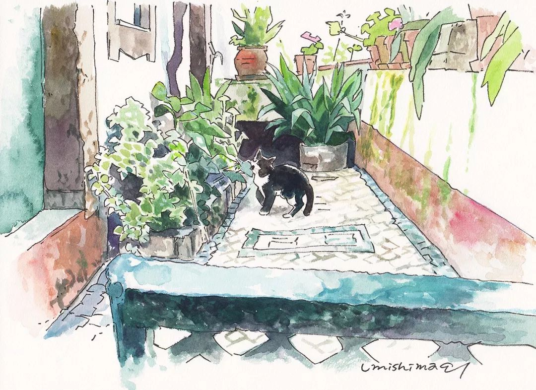 超唯美優(yōu)雅插畫，清新亮麗的手繪插畫