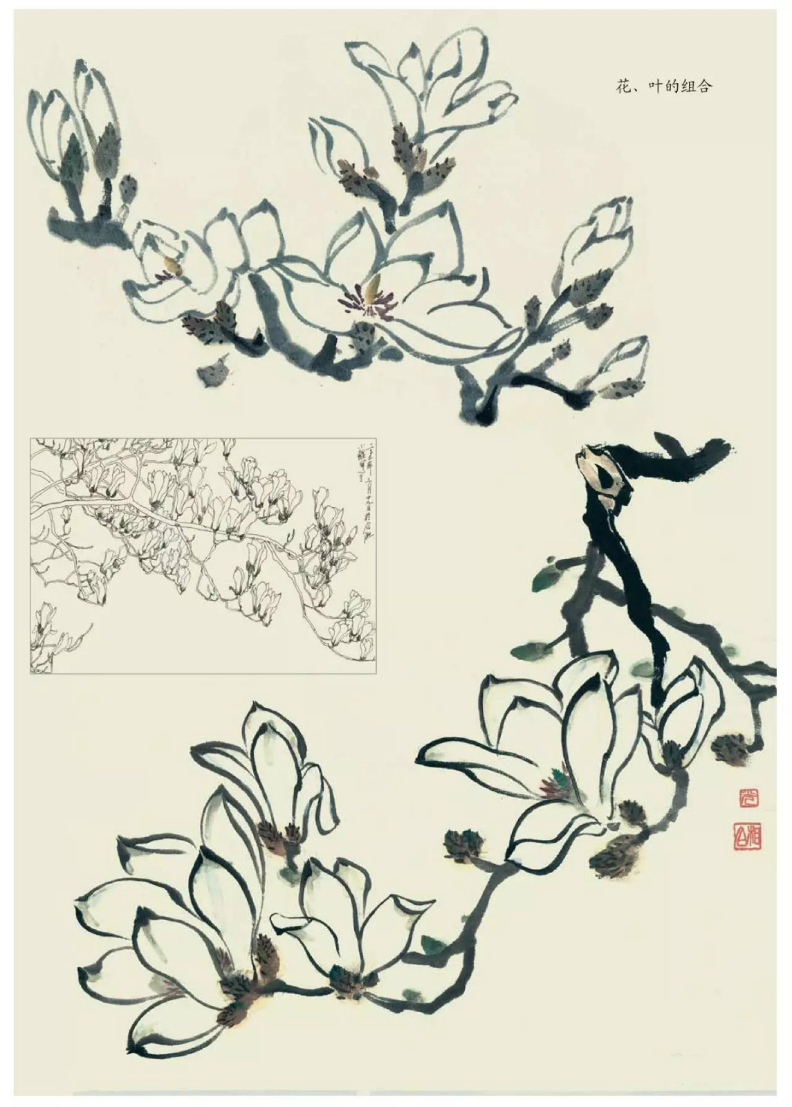 國畫技法：超詳細的國畫各種花卉畫法大全!