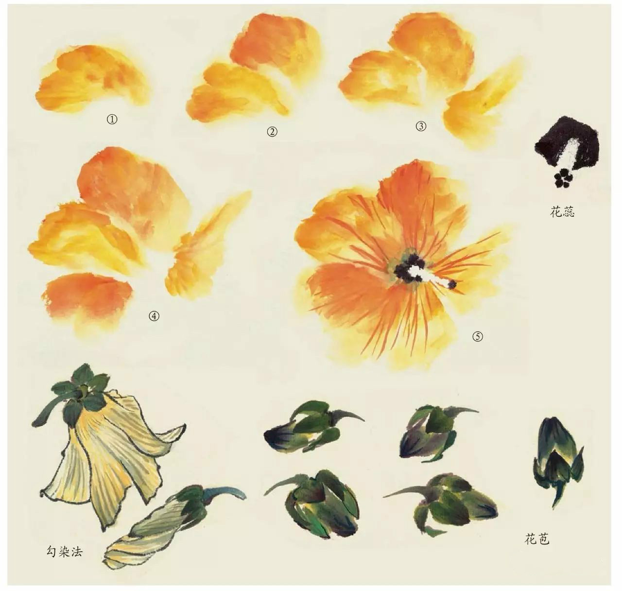 國畫技法：超詳細的國畫各種花卉畫法大全!