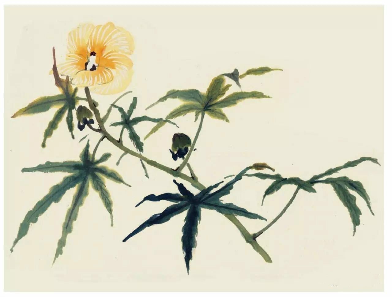 國畫技法：超詳細的國畫各種花卉畫法大全!