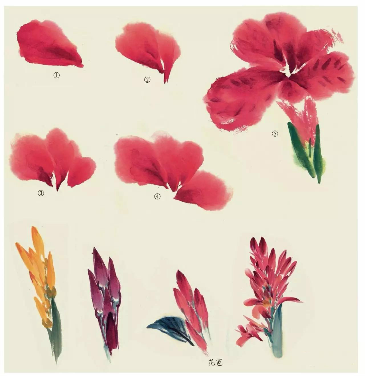 國(guó)畫(huà)技法：超詳細(xì)的國(guó)畫(huà)各種花卉畫(huà)法大全!