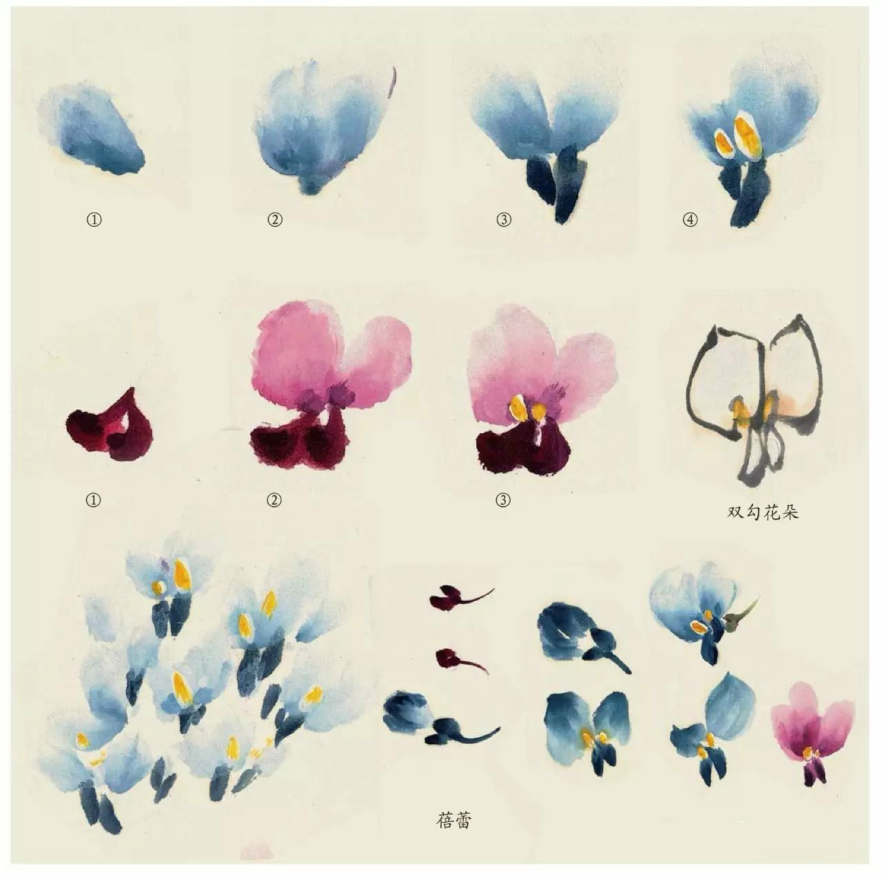 國(guó)畫(huà)技法：超詳細(xì)的國(guó)畫(huà)各種花卉畫(huà)法大全!
