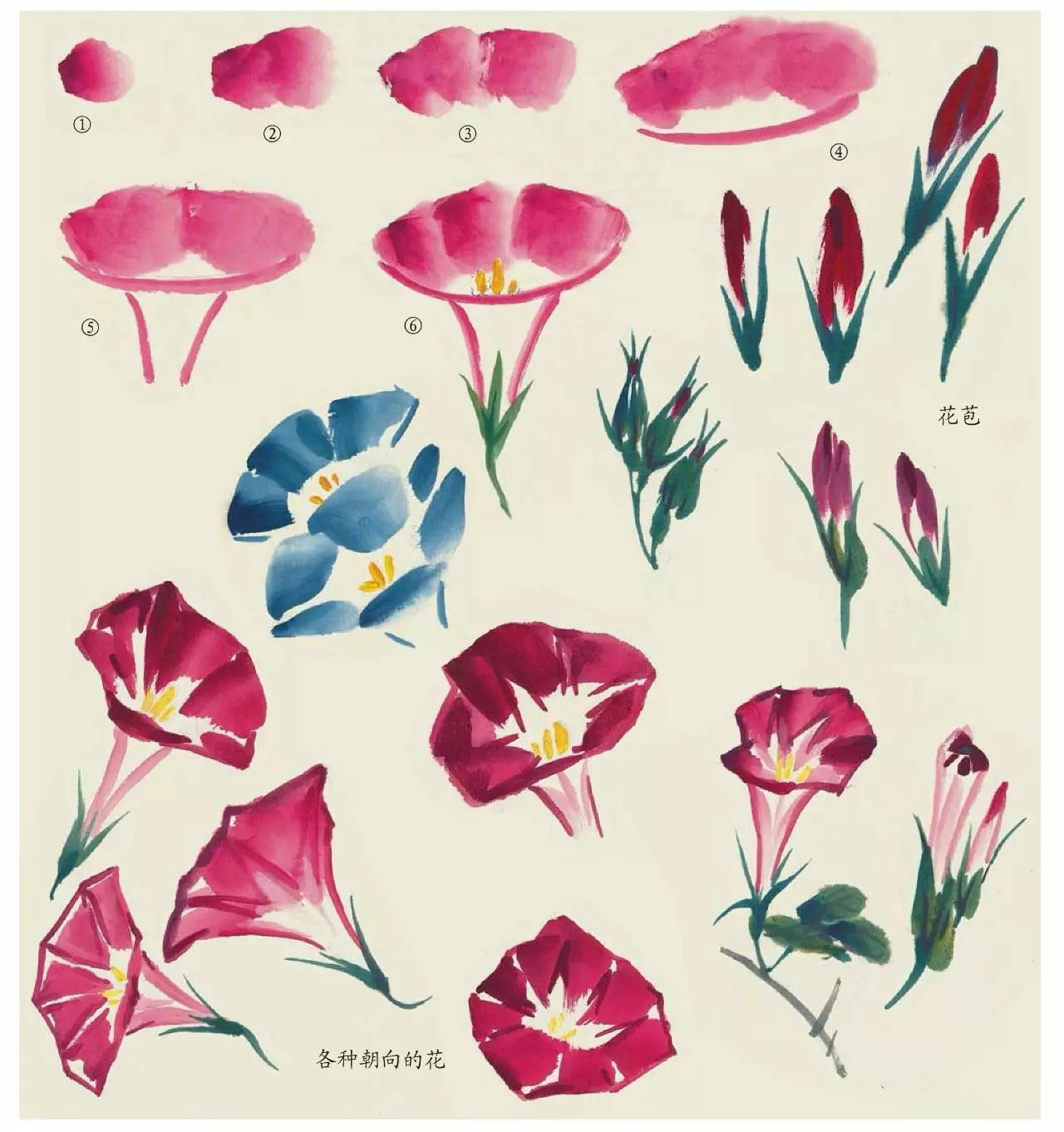 國(guó)畫(huà)技法：超詳細(xì)的國(guó)畫(huà)各種花卉畫(huà)法大全!