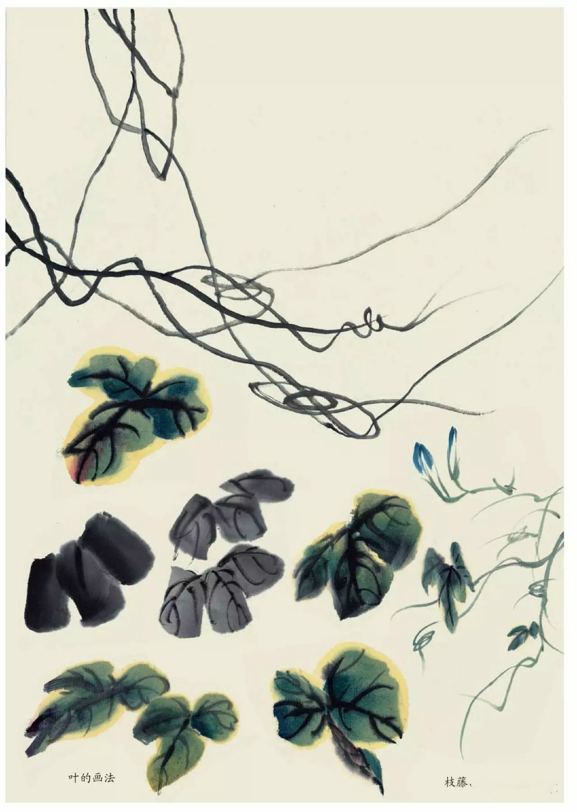 國(guó)畫(huà)技法：超詳細(xì)的國(guó)畫(huà)各種花卉畫(huà)法大全!