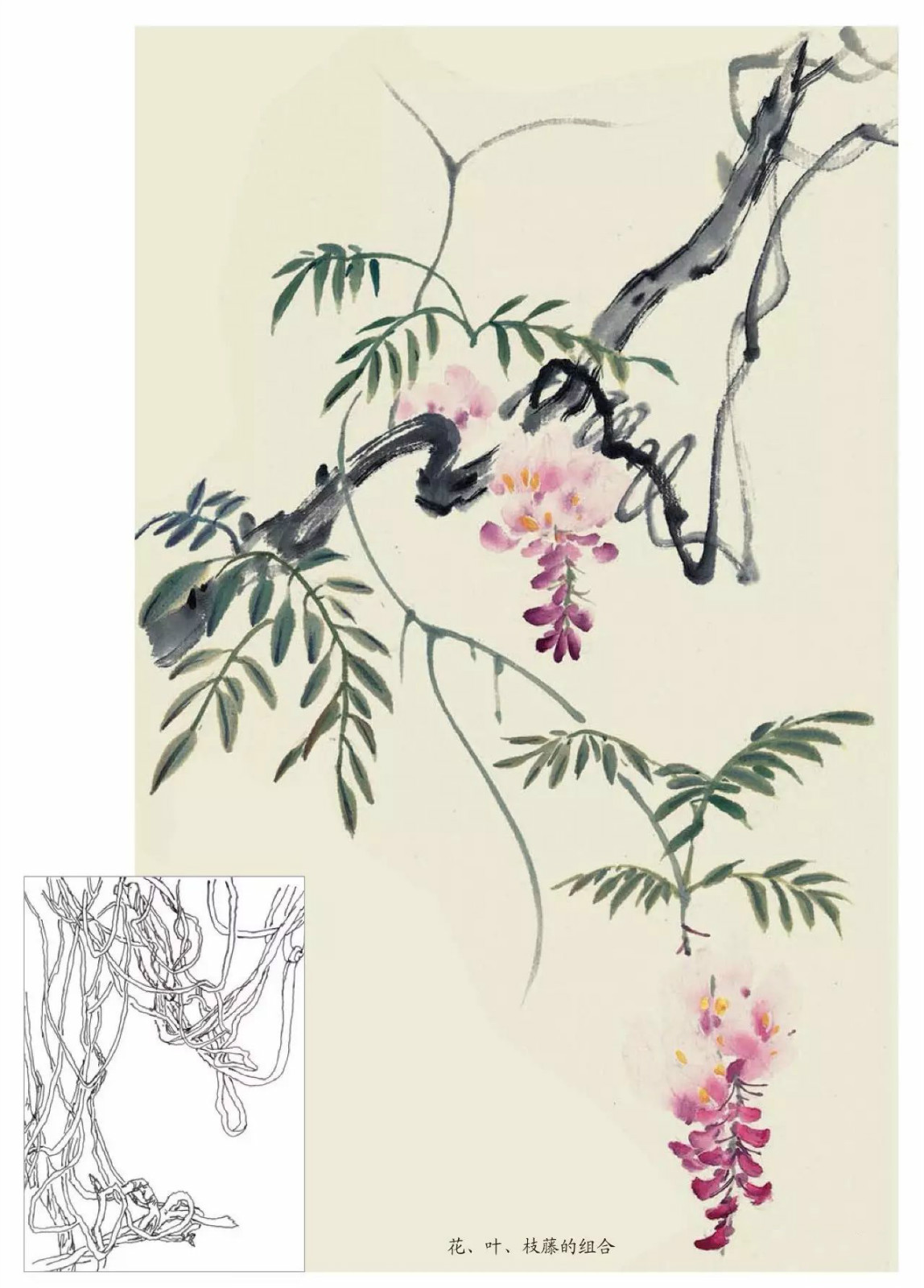 國(guó)畫(huà)技法：超詳細(xì)的國(guó)畫(huà)各種花卉畫(huà)法大全!