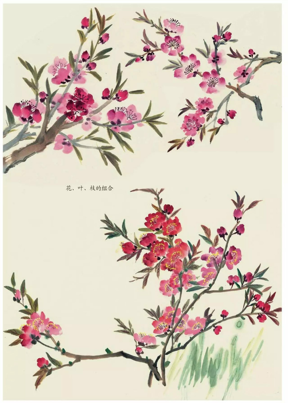 國(guó)畫(huà)技法：超詳細(xì)的國(guó)畫(huà)各種花卉畫(huà)法大全!