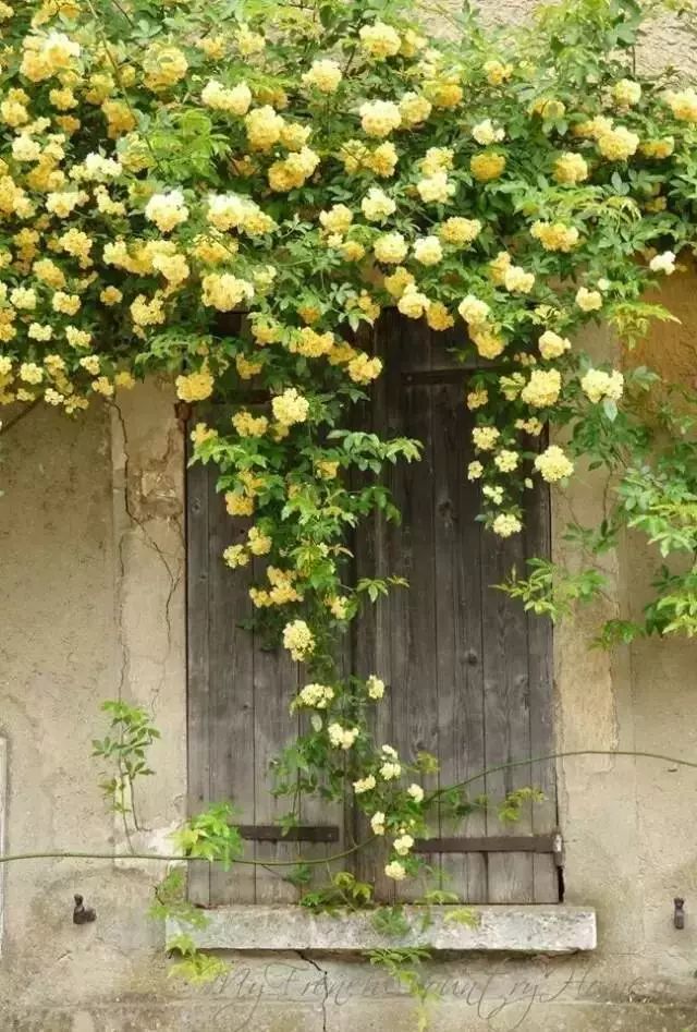 中式古窗：賞一窗花開(kāi)盼一世安好