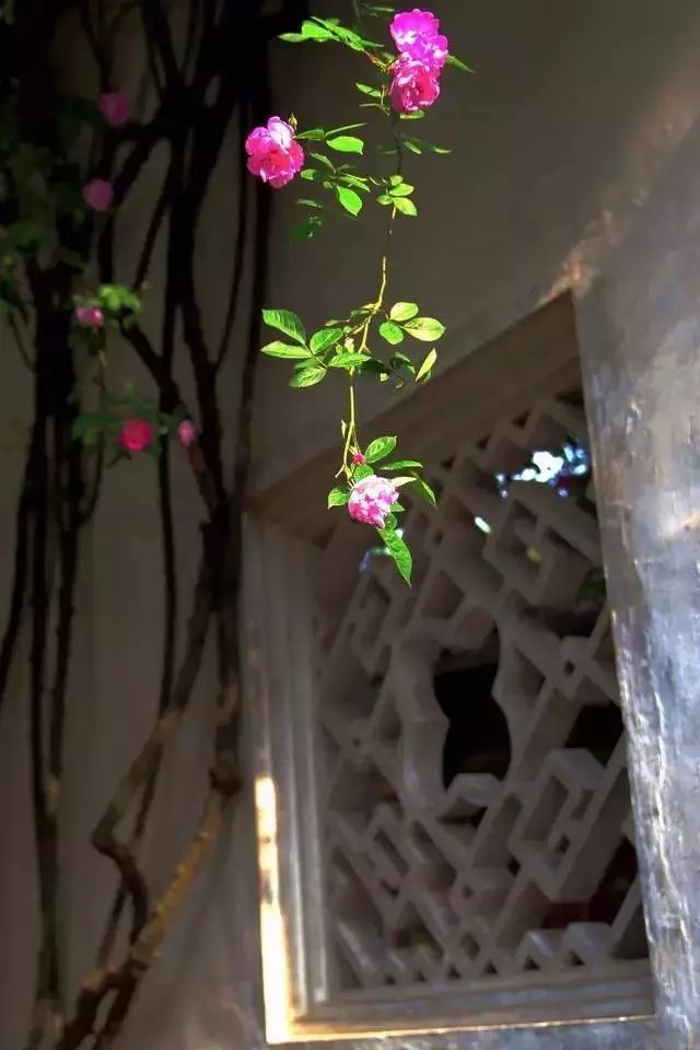 中式古窗：賞一窗花開(kāi)盼一世安好