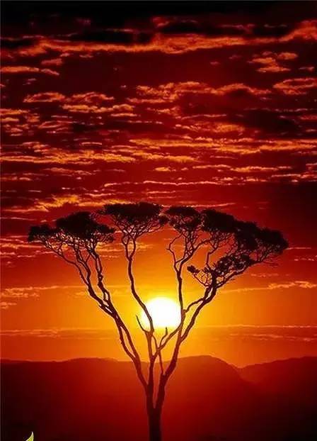 美到骨子里的夕陽風景：青山依舊在，幾度夕陽