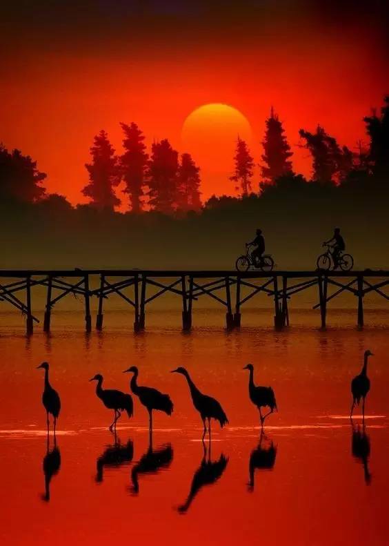 美到骨子里的夕陽(yáng)風(fēng)景：青山依舊在，幾度夕陽(yáng)