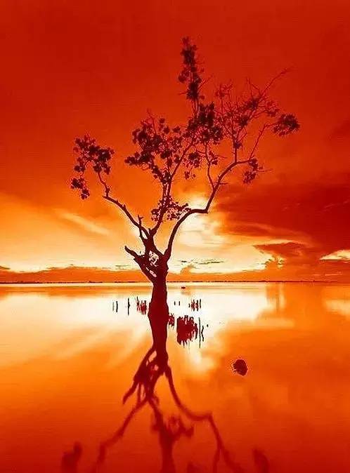 美到骨子里的夕陽(yáng)風(fēng)景：青山依舊在，幾度夕陽(yáng)