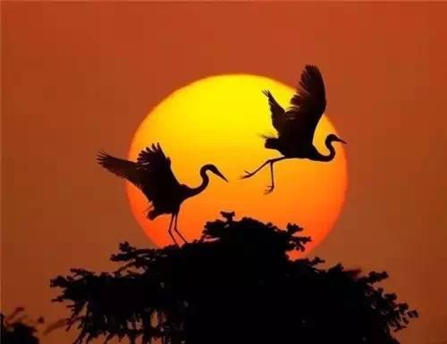 美到骨子里的夕陽風景：青山依舊在，幾度夕陽