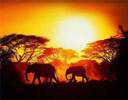 美到骨子里的夕陽風景：青山依舊在，幾度夕陽