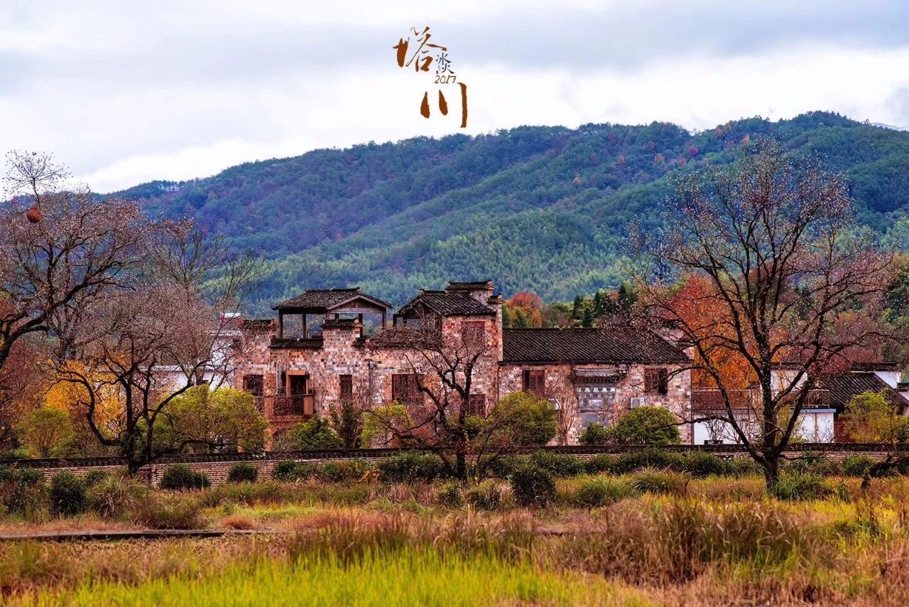 杭州·化城壹處，坐落在化城寺的佛元素里
