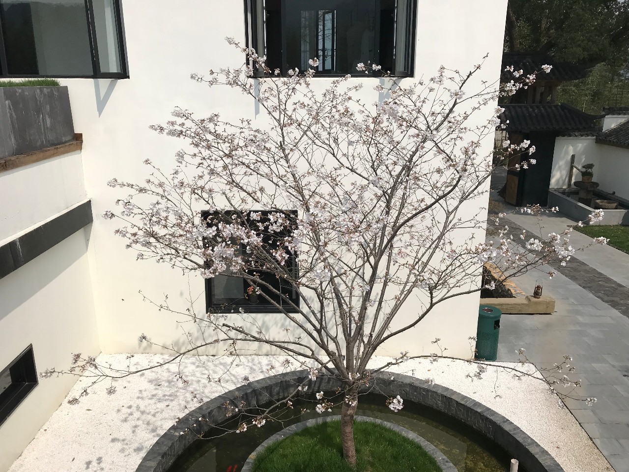 杭州·化城壹處，坐落在化城寺的佛元素里