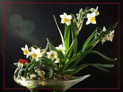 詩(shī)意風(fēng)景：一花一世界，一詩(shī)一情懷