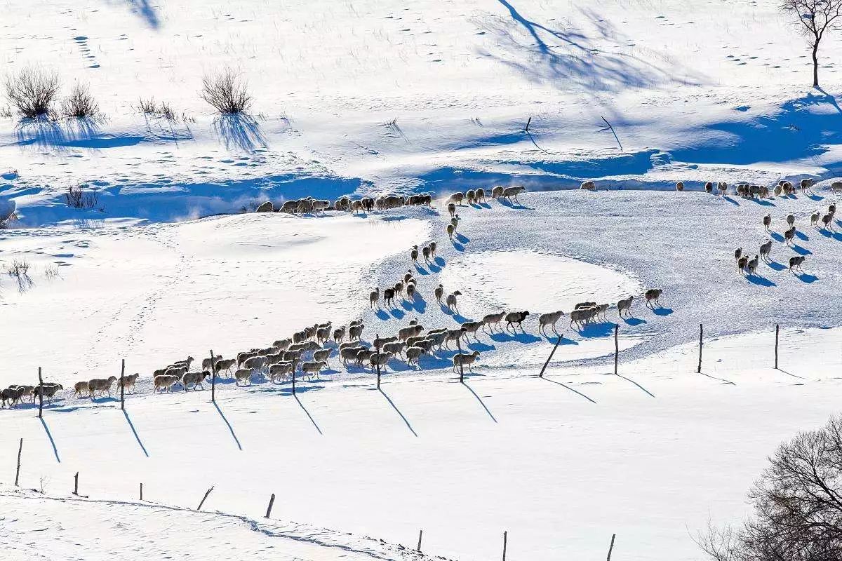 承德·衍居院上野奢度假，策馬奔騰活得瀟瀟灑灑