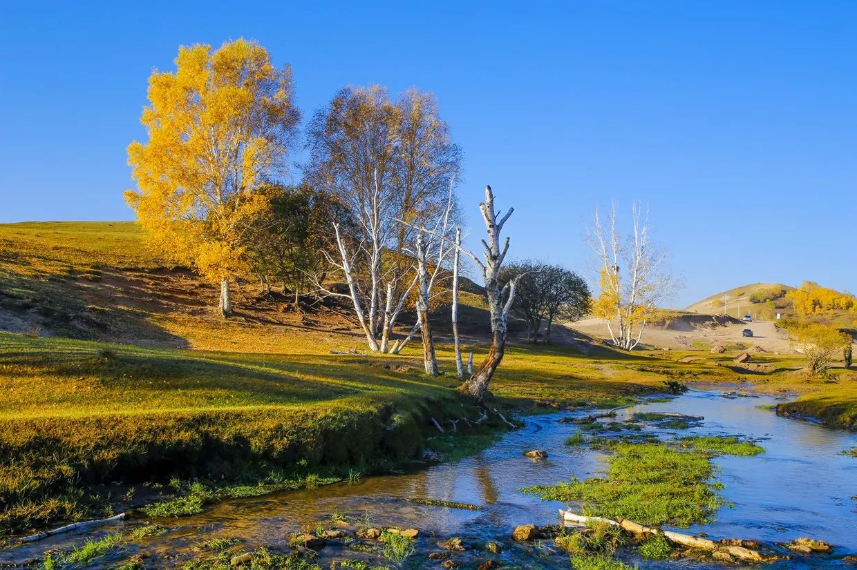 承德·衍居院上野奢度假，策馬奔騰活得瀟瀟灑灑