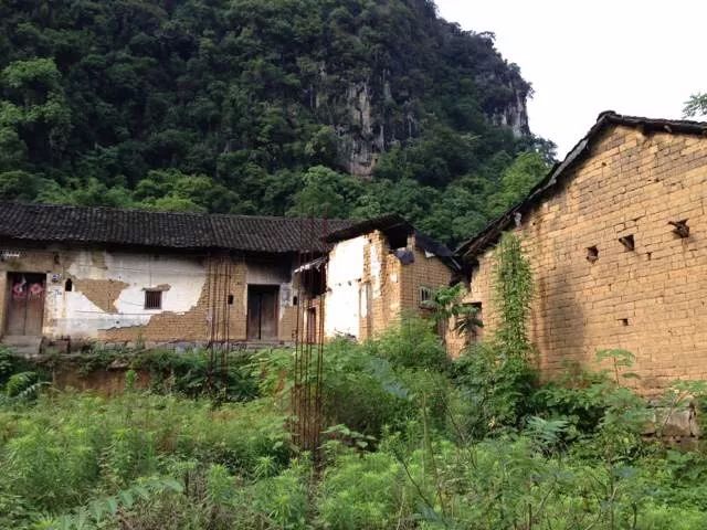 陽朔·芒果憶墅，用芒果記錄每一個(gè)美好瞬間