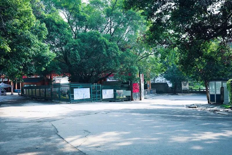 陽(yáng)朔·芒果憶墅，用芒果記錄每一個(gè)美好瞬間