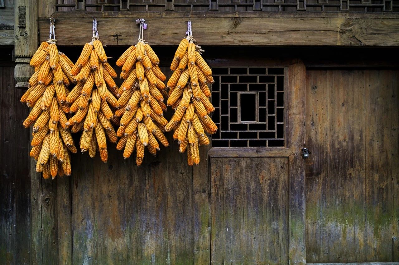 貴州·群山之心，因?yàn)閴?mèng)想所有辛勞皆喜悅