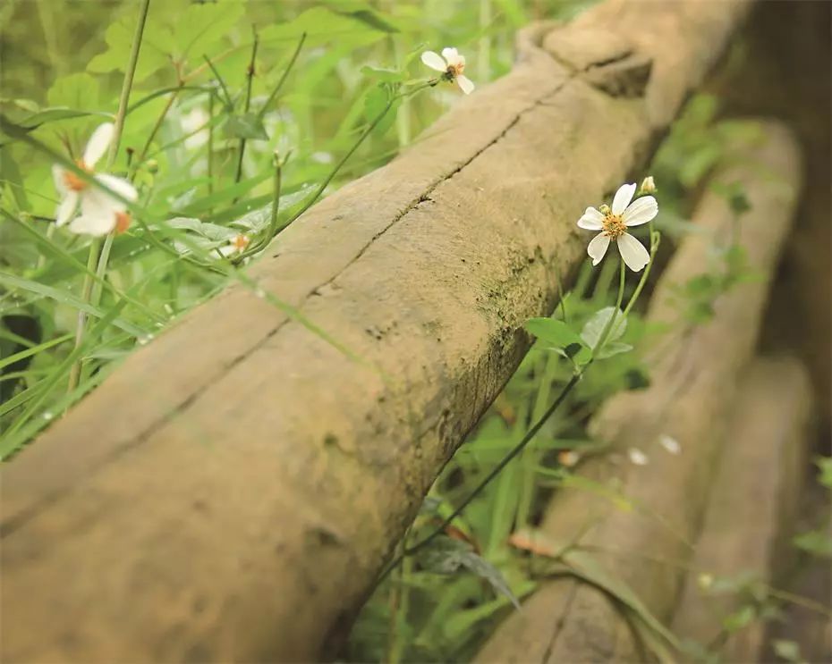 貴州·群山之心，因?yàn)閴?mèng)想所有辛勞皆喜悅