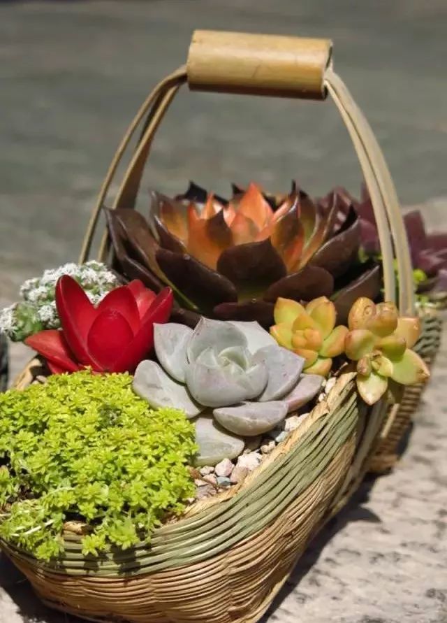 寂照庵--中國(guó)最文藝尼姑庵：心若無塵一花一世界