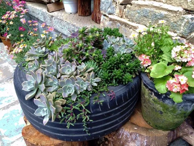 寂照庵--中國(guó)最文藝尼姑庵：心若無塵一花一世界