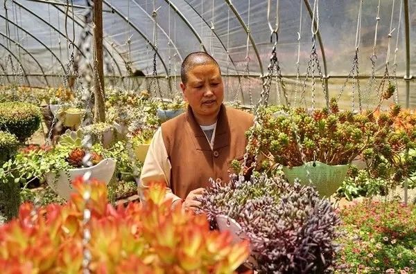 寂照庵--中國(guó)最文藝尼姑庵：心若無(wú)塵一花一世界